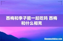 西梅和李子能一起吃吗 西梅和什么相克