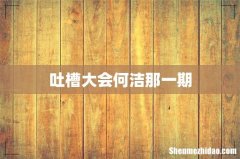吐槽大会何洁那一期