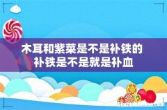 木耳和紫菜是不是补铁的 补铁是不是就是补血
