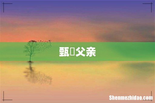 甄嬛父亲