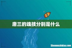 唐三的魂技分别是什么