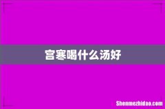 宫寒喝什么汤好