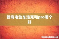 锋鸟电动车浩克和pro哪个好