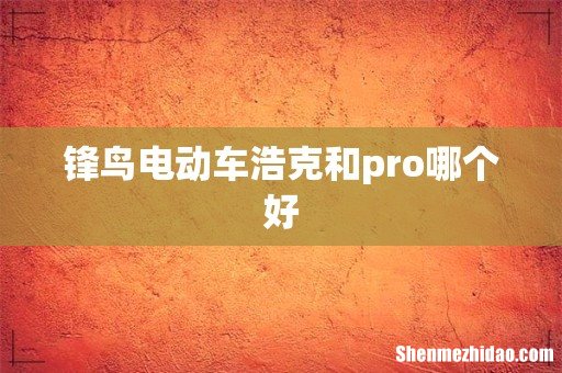 锋鸟电动车浩克和pro哪个好