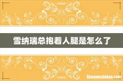 雪纳瑞总抱着人腿是怎么了