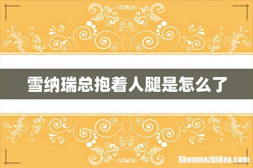 雪纳瑞总抱着人腿是怎么了