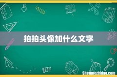 拍拍头像加什么文字