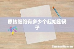 原核细胞有多少个起始密码子
