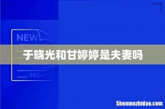 于晓光和甘婷婷是夫妻吗