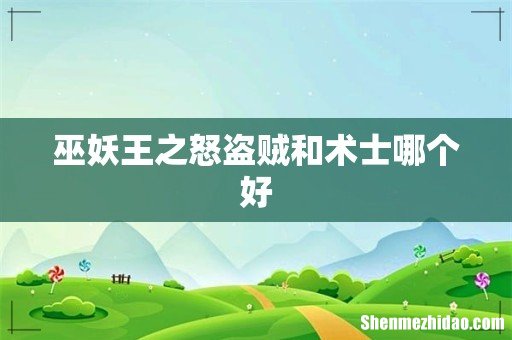 巫妖王之怒盗贼和术士哪个好