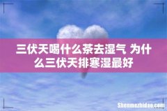 三伏天喝什么茶去湿气 为什么三伏天排寒湿最好