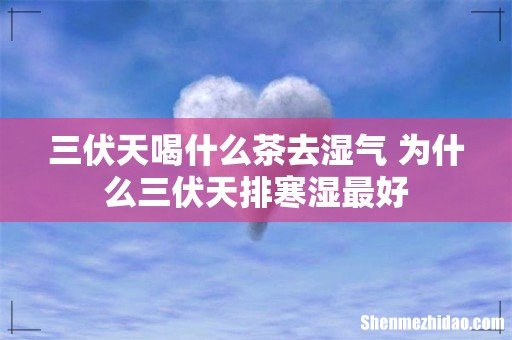 三伏天喝什么茶去湿气 为什么三伏天排寒湿最好