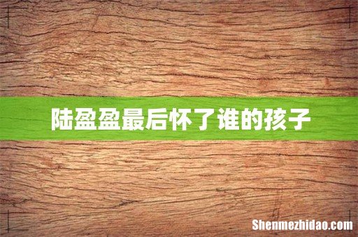 陆盈盈最后怀了谁的孩子