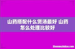 山药搭配什么煲汤最好 山药怎么处理比较好