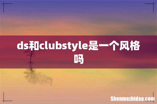ds和clubstyle是一个风格吗