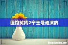 医馆笑传2宁王是谁演的