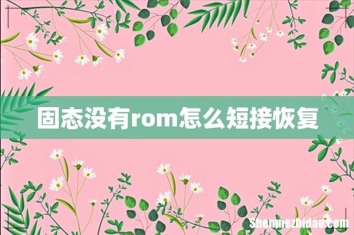 固态没有rom怎么短接恢复