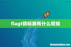 fiagt锦标赛有什么规矩
