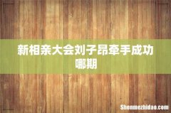 新相亲大会刘子昂牵手成功哪期