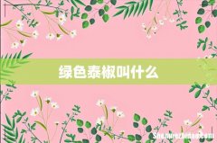绿色泰椒叫什么