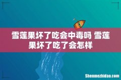 雪莲果坏了吃会中毒吗 雪莲果坏了吃了会怎样