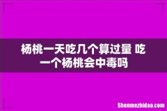 杨桃一天吃几个算过量 吃一个杨桃会中毒吗