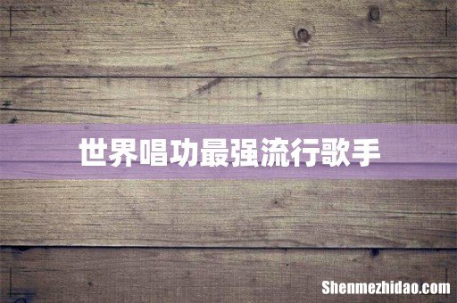 世界唱功最强流行歌手