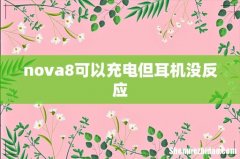 nova8可以充电但耳机没反应
