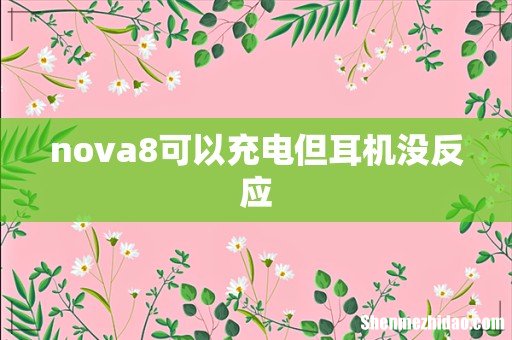 nova8可以充电但耳机没反应