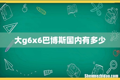大g6x6巴博斯国内有多少