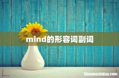 mind的形容词副词