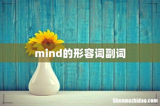 mind的形容词副词