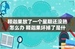 释迦果放了一个星期还没熟怎么办 释迦果坏掉了是什么样子