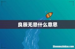 良辰无忌什么意思