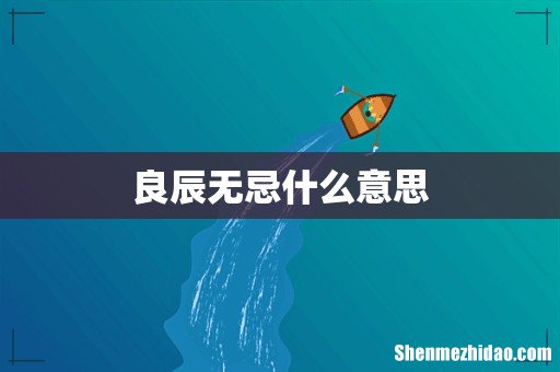 良辰无忌什么意思