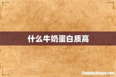 什么牛奶蛋白质高