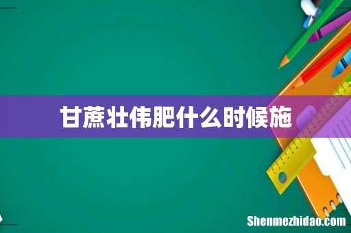 甘蔗壮伟肥什么时候施