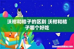 沃柑和桔子的区别 沃柑和桔子哪个好吃