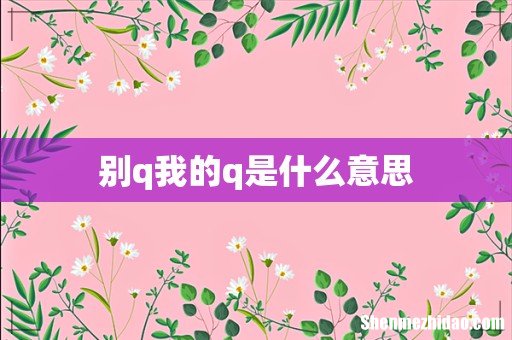 别q我的q是什么意思