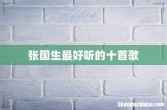 张国生最好听的十首歌