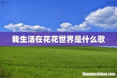 我生活在花花世界是什么歌