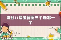 鬼谷八荒宝藏图三个选哪一个