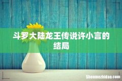 斗罗大陆龙王传说许小言的结局