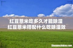 红豆薏米吃多久才能除湿 红豆薏米搭配什么吃除湿效果好