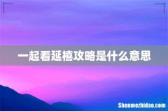 一起看延禧攻略是什么意思