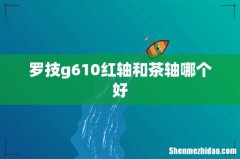 罗技g610红轴和茶轴哪个好