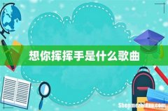 想你挥挥手是什么歌曲