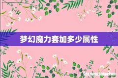 梦幻魔力套加多少属性