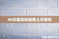 40元能买到越南土沉香吗