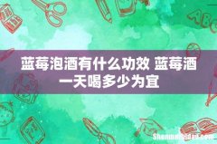 蓝莓泡酒有什么功效 蓝莓酒一天喝多少为宜